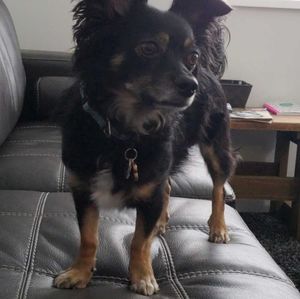 Meet your Posher, Elizabeth